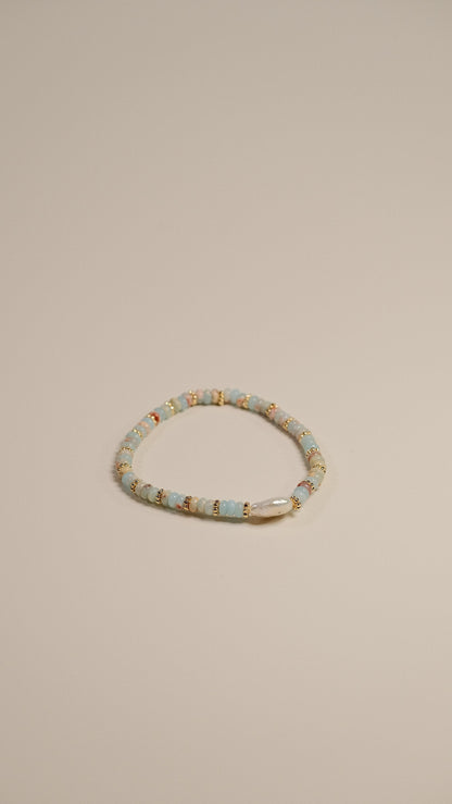 HUSHFOOT Twelve Zodiac Carved Bone and Dzi Bead Bracelet