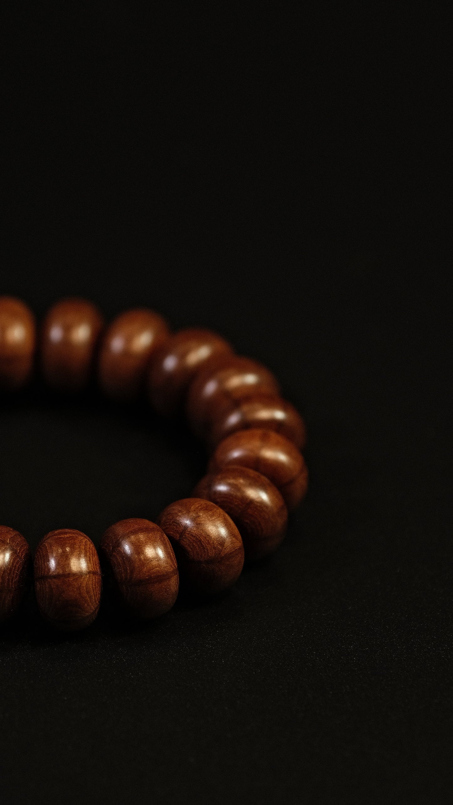 HUSHFOOT Liu Dao Mu Abacus and Dzi Bead Bracelet